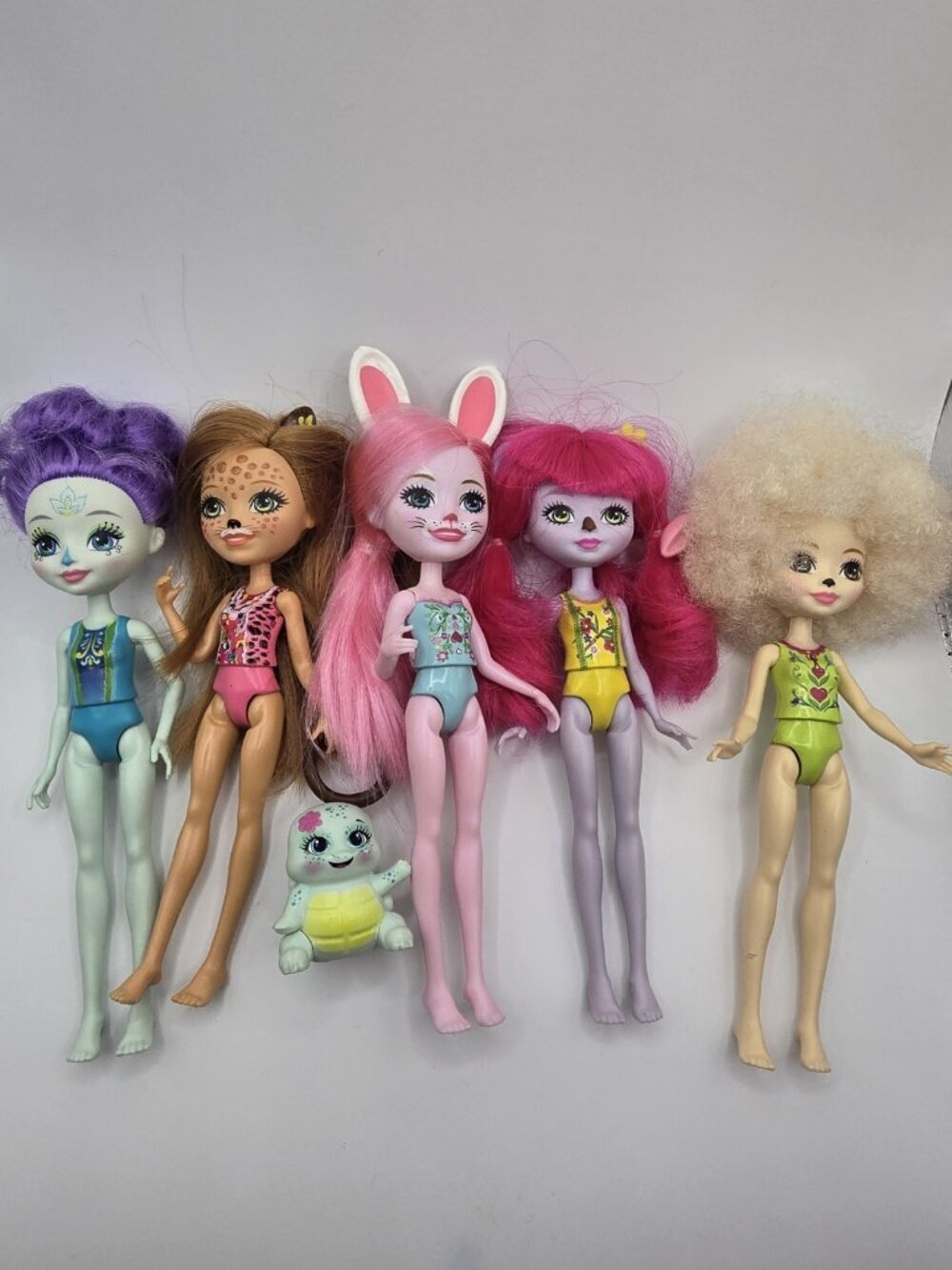Mattel Enchantimals Dolls Lot Of 5 Dolls And Turtle Pet.